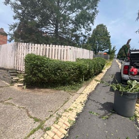 Bush Trimming by Armstrong's Lawn Care Plus reviewed on October 12, 2024
