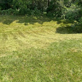 Cleanups by Serenity Lawn Care and Property Maintenance reviewed on June 25, 2022