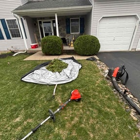 Bush Trimming by Thomas Kelly Home Services reviewed on July 2, 2022