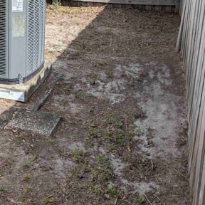 Leaf Removal by D & J lawn care reviewed on July 29, 2022
