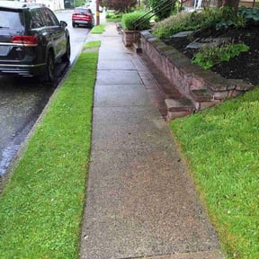 Bush Trimming by Cornerstone landscape & design reviewed on June 7, 2022