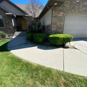 Bush Trimming by Cutting edge lawn service reviewed on January 23, 2022
