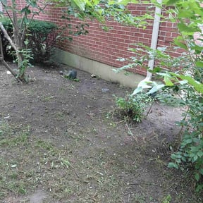 Flower Bed Weeding by Supreme Home Services reviewed on August 8, 2022