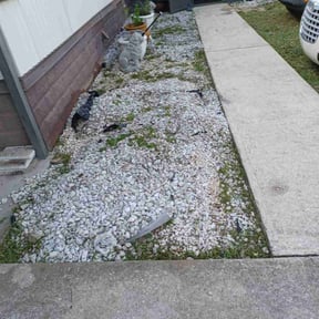Landscaping by Willie Lawn Care and More LLC reviewed on April 18, 2025