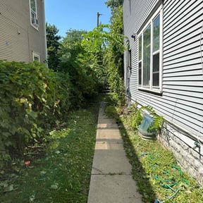 Cleanups by JACKSON Lawn Care reviewed on June 8, 2022