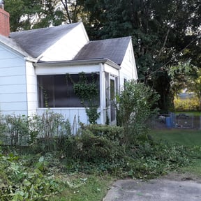 Cleanups by Heiny Lawn reviewed on May 24, 2022