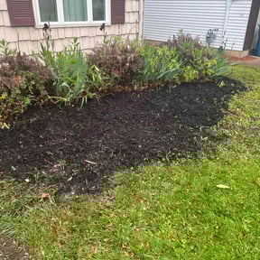 Leaf Removal by Family affair reviewed on May 12, 2022