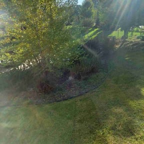 Weeding by Quality Pro. Construction reviewed on November 6, 2021