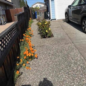 Bush Trimming by Hauling &amp; Lawn Bros reviewed on April 15, 2025