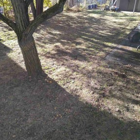 Leaf Removal by Mow the grow reviewed on August 11, 2024