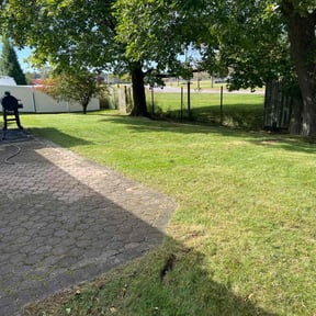 Leaf Removal by Reeds reconstruction n design reviewed on June 2, 2022