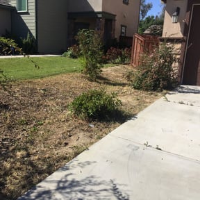 Cleanups by Maciel Landscaping reviewed on April 2, 2025