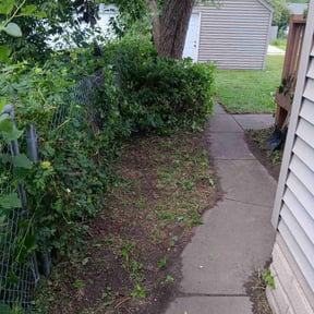 Bush Trimming by Martin Lawn Care LLC reviewed on November 19, 2023