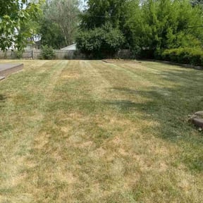 Flower Bed Weeding by J&S Landscaping reviewed on June 17, 2022