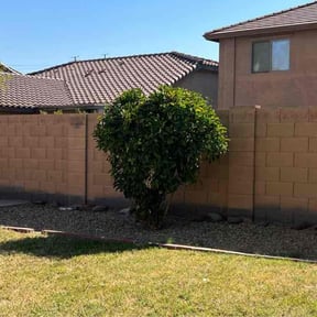 Bush Trimming by Elite Lawn Care reviewed on May 3, 2022