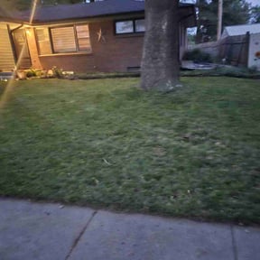 Cleanups by Top Notch Lawn & Landscaping, LLC reviewed on June 15, 2022