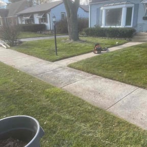 Leaf Removal by Red Rose Lawn Care reviewed on May 15, 2022