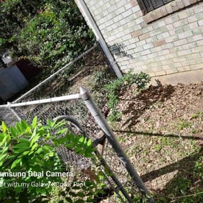 Leaf Removal by farsight services reviewed on June 24, 2022