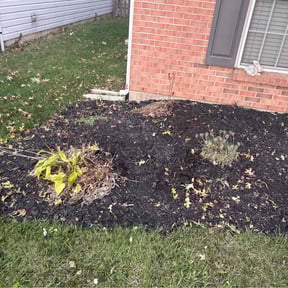 Flower Bed Weeding by Bradley Taylor reviewed on July 31, 2022