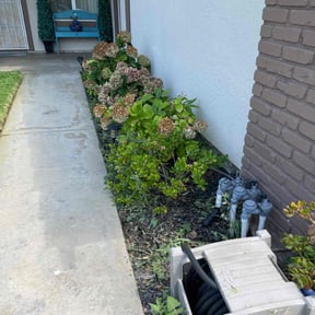 Bush Trimming by LSLTDallas/FortWorthTruGreen reviewed on April 10, 2025