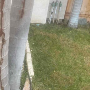 Leaf Removal by Abigial yard care Llc reviewed on June 4, 2022