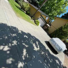 Bush Trimming by Morel Lawn & tree service reviewed on June 8, 2022
