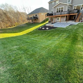 Leaf Removal by Stephenson's Landscaping reviewed on July 14, 2022