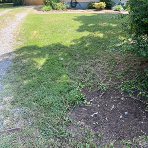 Cleanups by TJ Lawn Care reviewed on August 7, 2025