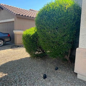 Bush Trimming by High Class Cuts reviewed on April 2, 2022