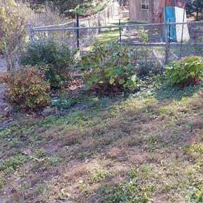 Landscaping by Woods Property PreservationLLC reviewed on June 8, 2022