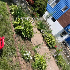 Flower Bed Weeding by Cutting Under Pressure reviewed on June 21, 2022