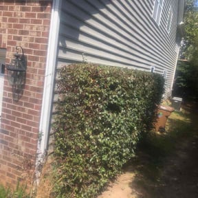 Bush Trimming by deeper roots lawncare reviewed on June 2, 2022