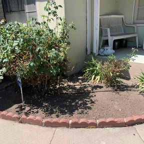 Weeding by Re Image lawn care reviewed on May 21, 2022