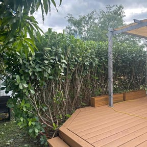 Leaf Removal by Furia Global LLC reviewed on August 14, 2024