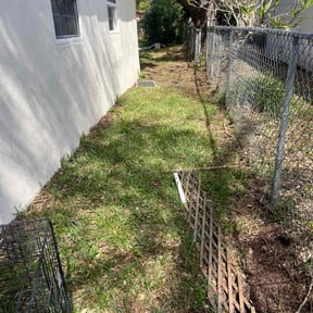 Leaf Removal by PerfectCutLawn reviewed on October 12, 2022