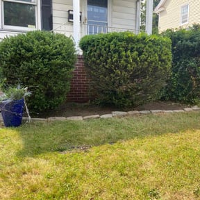 Bush Trimming by Midwest mowing reviewed on May 27, 2022