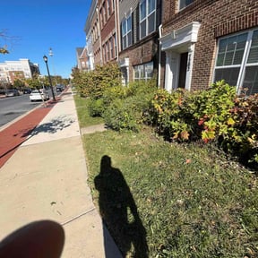 Bush Trimming by Greenworx Lawn Care reviewed on May 7, 2022