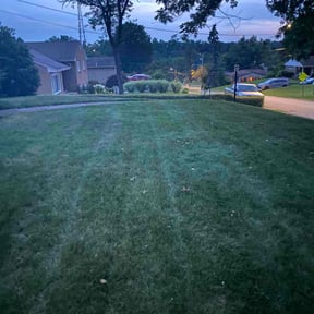 Bush Trimming by 4 You Landscaping LLC reviewed on December 8, 2024