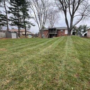 Leaf Removal by B&SS reviewed on July 13, 2022
