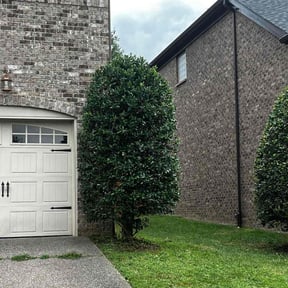 Bush Trimming by Fisher&#039;s Yard Care reviewed on May 10, 2025