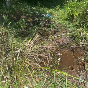 Cleanups by barnes.n.co.ext reviewed on August 7, 2020
