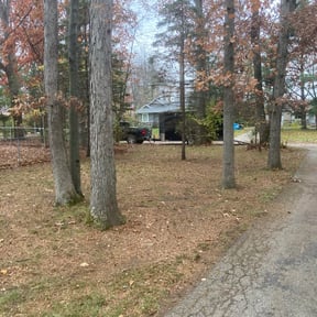 Leaf Removal by Hayes lawn care and tree services reviewed on April 29, 2022