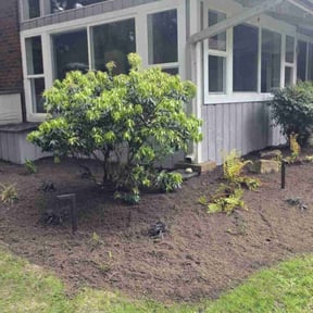 Bush Trimming by Glm landscaping reviewed on April 22, 2022
