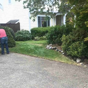 Bush Trimming by K&G Lawncare reviewed on August 27, 2021