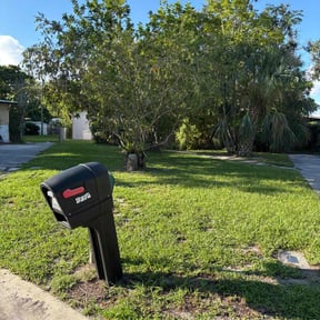 Bush Trimming by Your Next Cut Lawn Services reviewed on August 2, 2022