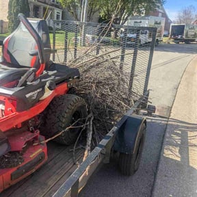 Leaf Removal by Skillman's Service Pros reviewed on July 4, 2019