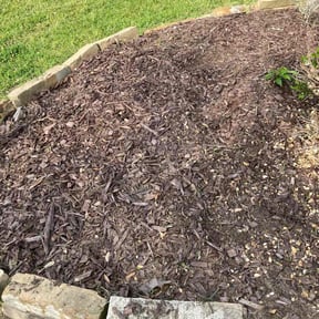 Flower Bed Weeding by Star Landscaping reviewed on June 28, 2025