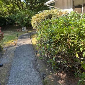 Bush Trimming by Destiny Lawn Care reviewed on July 21, 2022