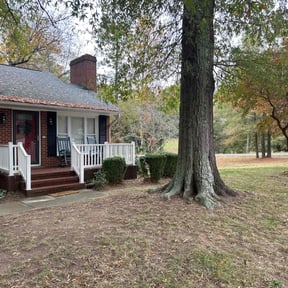 Bush Trimming by Dream Cuts landscaping and Lawn Care LLC reviewed on January 23, 2025