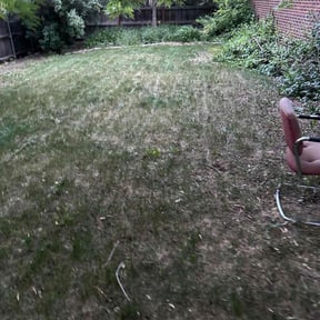 Cleanups by AP Landscapers reviewed on May 15, 2022